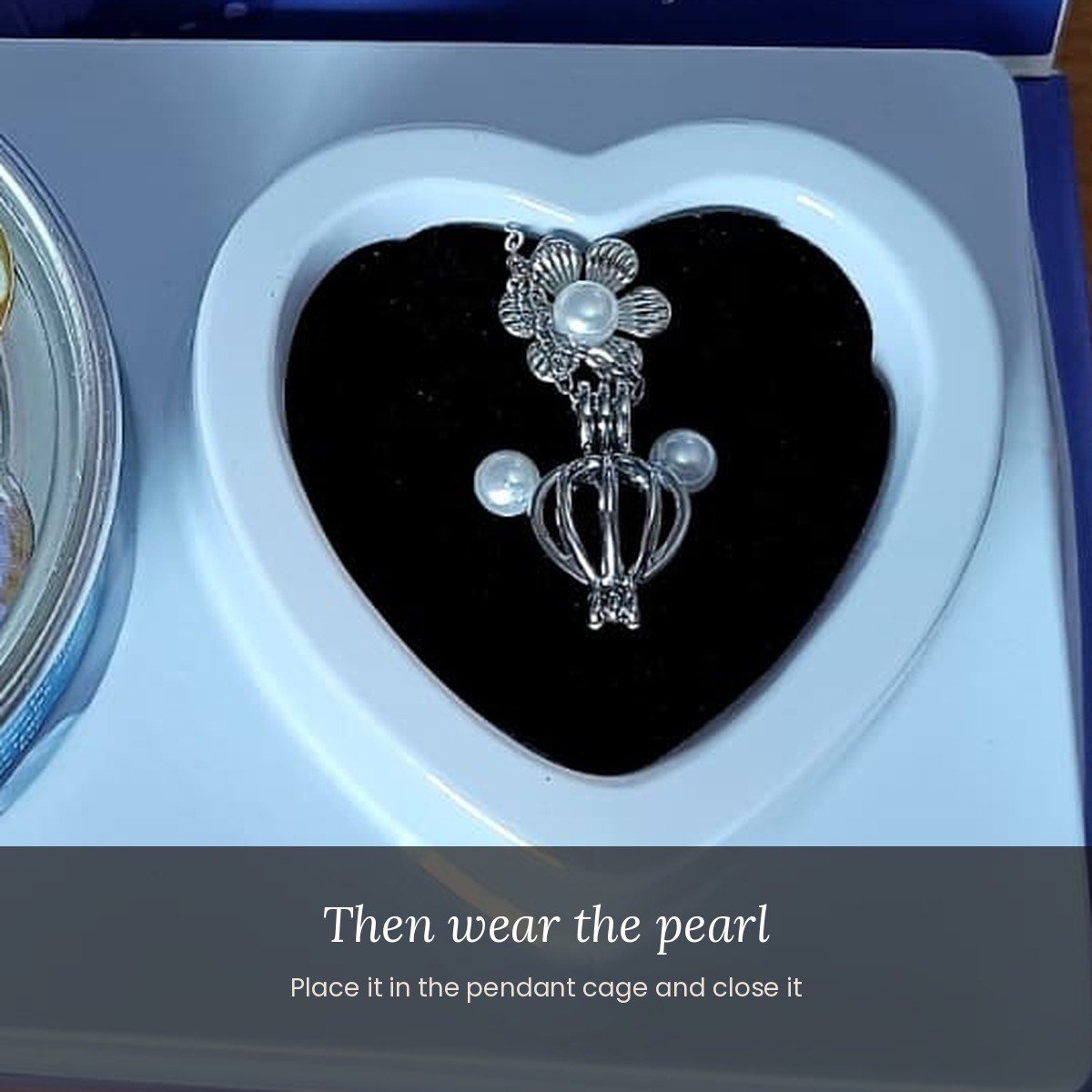 Wish pearl pendant gift box with oyster and pendant cage